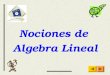 07 Nociones de Algebra Lineal.ppt