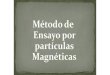 Ensayo Particulas Magneticas