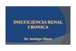 4-Ins.renal Cronica DR ALONSO UNT