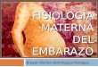 Fisiología Materna Del Embarazo