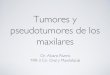 420 2014-02-25 Tumores Maxilares