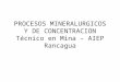 Procesos Mineralogistas y de Concentración