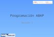 Sesion 1 - Programación ABAP