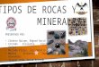 Exposicion Rocas y Minerales