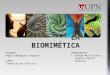 La Biomimetica Exposicion (1)