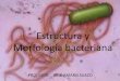 Estructura y Morfología Bacteriana 2015