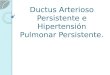 Ductus Arterioso Persistente e Hipertensión Pulmonar Persistente