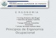 Principios de Ergonomia ocupacional.pptx