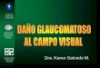 GLAUCOMA DaÃ±o glaucomatoso al campo visual  (Dra. Karen Salcedo Mosquera) JPG.pptx