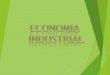 Econom i a Industrial