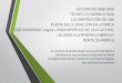 ESTUDIO DE VIABILIDAD GNL.pdf