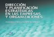 12022015Dirección y Planificación Estratégica 1ed Fernández