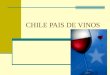 Chile Pais de Vinos