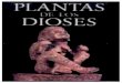 Albert Hofmann - Planta de Los Dioses
