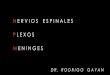 Nervios Espinales, Meninges, Plexos (2).pdf
