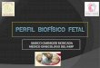 11 Perfil Biofisico Fetal