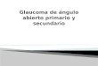 Glaucoma de Angulo Abierto Primario y Secundario