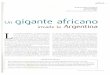 Un Gigante Africano Invade La Argentina