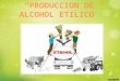 Producción Alcohol Etílico