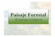 Clase Paisaje Forestal-ecologico