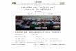 Informe ISUM 2015 Tacna.docx