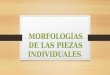 Morfologías de Las Piezas Individuales