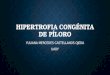 Hipertrofia Pilorica y Obstrucción Intestinal