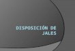 Disposición de Jales