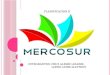 Mercosur - Tema 11