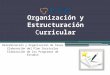 Organización y Estructuración Curricular