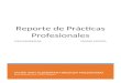 REPORTE DE PRACTICAS (MINA ESMERALDA).docx