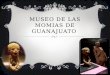 Museo de Las Momias de Guanajuato