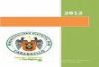 PLAN 10054 Plan Estratégico Institucional 2012-2016 2013
