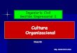 TEMA 6 cultura organizacional.pdf