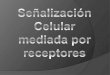 Temas 6 Señalización Celular Mediada Por Receptores