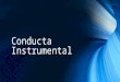 Conducta Instrumental