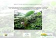 Guía Técnico Ambiental Plátano