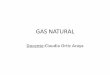 Quimica Organica (Gas Natural)
