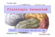 1.Fisiologia-sensoria Presentacion Powerpoint
