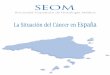 El Cancer en Espana 2011 Seom