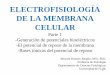 Electrofisiología de La Membrana Celular 1, 2013