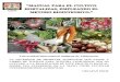 manual produccion agroecologica de alimentos