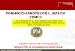 Tema 4 Formacion Profesional Basica 2014
