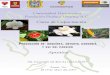 Manual de Produccion de Orquideas-Anturio-Gardenia-Ave Del P