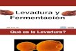 Presentacion Levadura y Fermentacion[1]