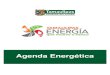 10-09-14 Agenda Energetica Tamaulipas