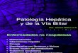 04.- Patologia Hepatica i