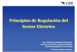 N 17_Principios de Regulación Del Sector Eléctrico