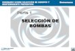 Seleccion y Mantenimiento Preventivo Bombas de Tornillo Excentrico