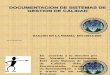 Documentacion de Sistemas de Gestion de Calidad (Iso 10013-2001)
